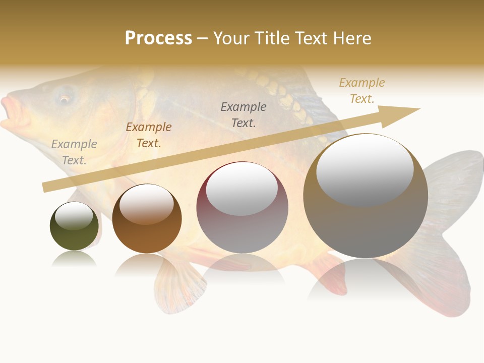 Carp Omega  Marine Life PowerPoint Template