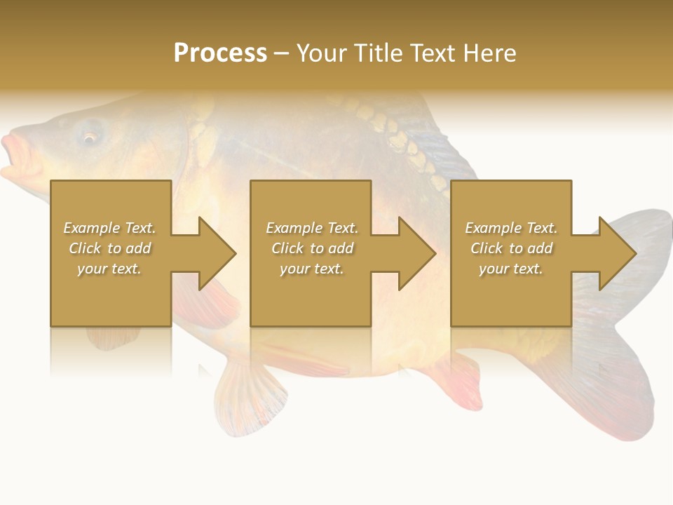 Carp Omega  Marine Life PowerPoint Template