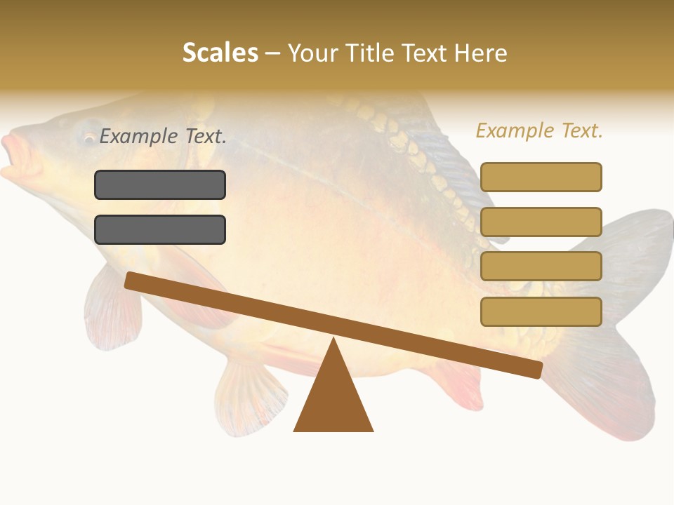 Carp Omega  Marine Life PowerPoint Template