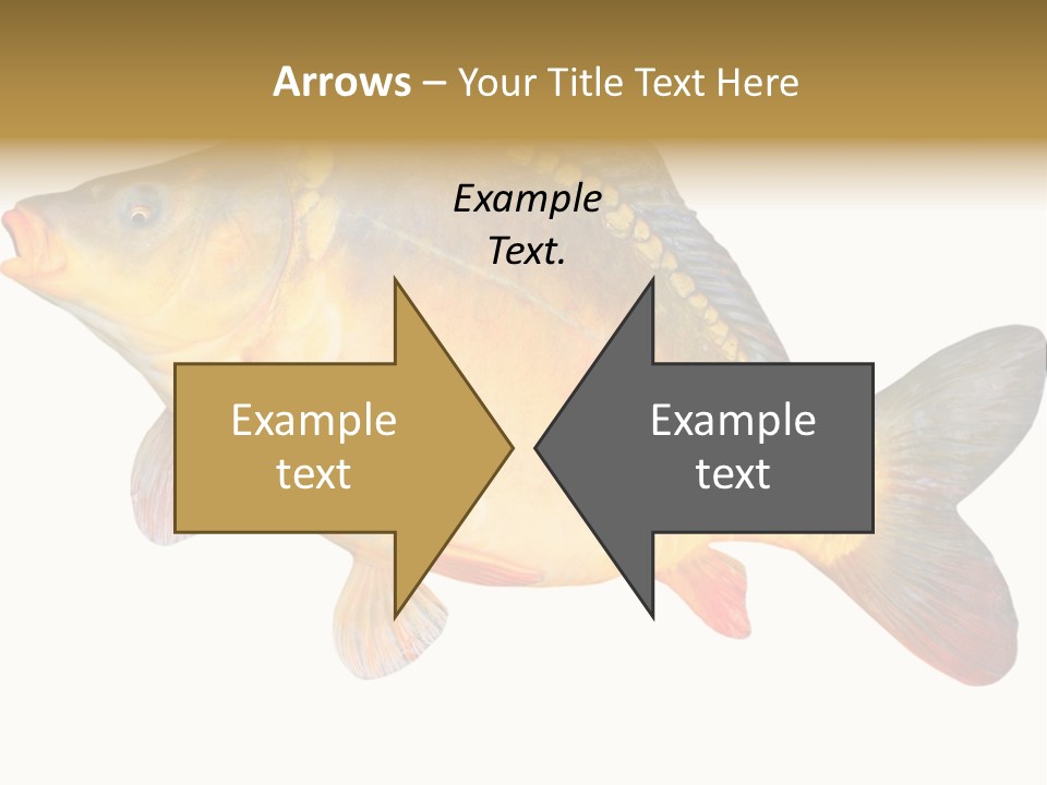 Carp Omega  Marine Life PowerPoint Template