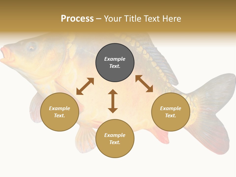 Carp Omega  Marine Life PowerPoint Template
