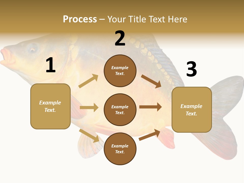Carp Omega  Marine Life PowerPoint Template
