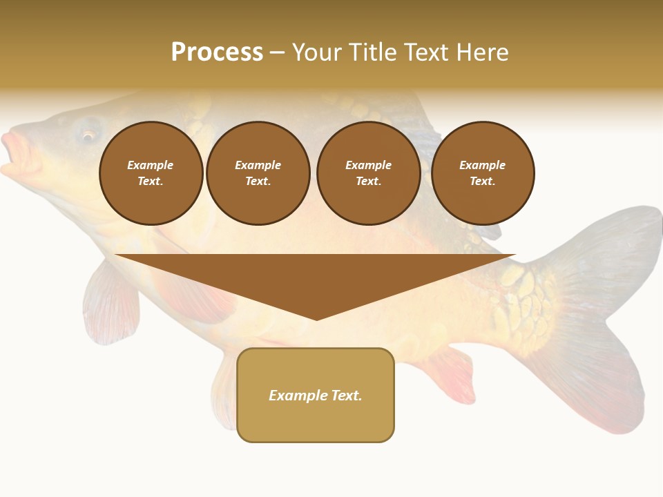Carp Omega  Marine Life PowerPoint Template