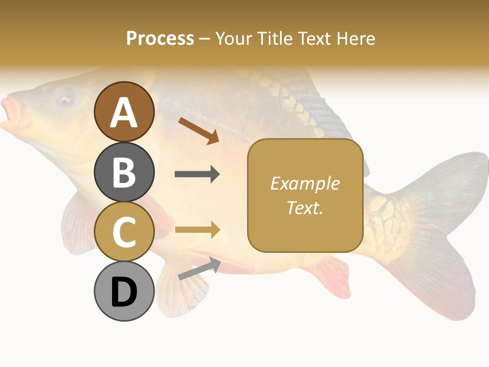 Carp Omega  Marine Life PowerPoint Template