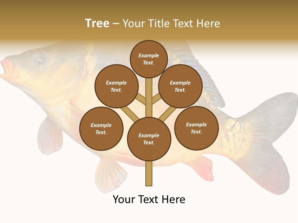 Carp Omega  Marine Life PowerPoint Template