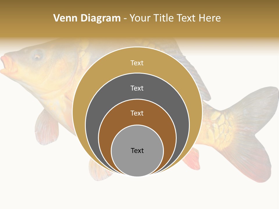 Carp Omega  Marine Life PowerPoint Template