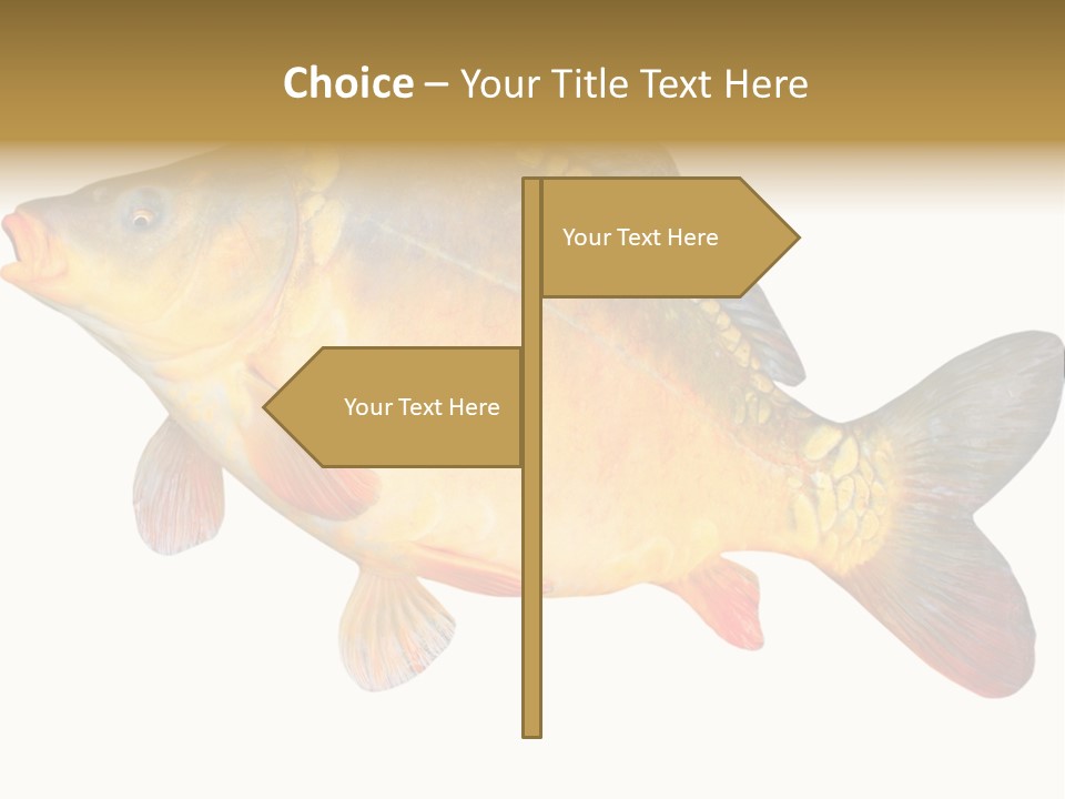 Carp Omega  Marine Life PowerPoint Template