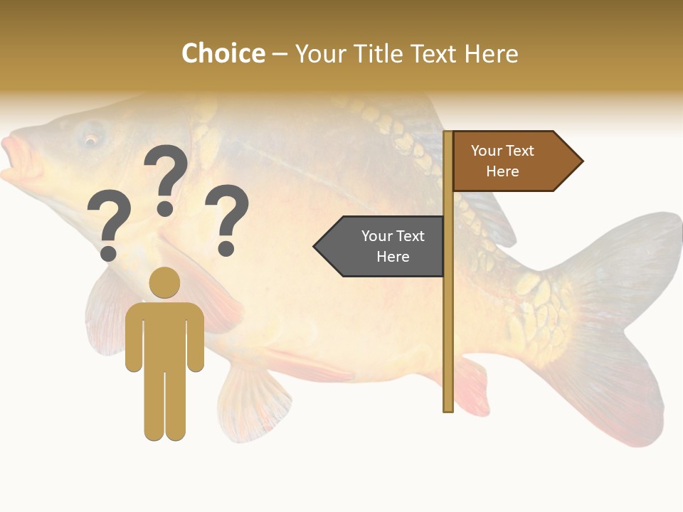 Carp Omega  Marine Life PowerPoint Template