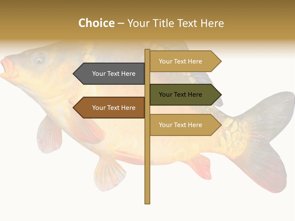 Carp Omega  Marine Life PowerPoint Template