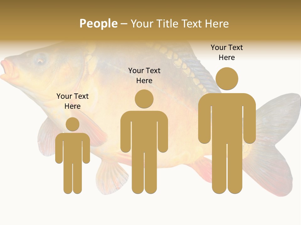 Carp Omega  Marine Life PowerPoint Template