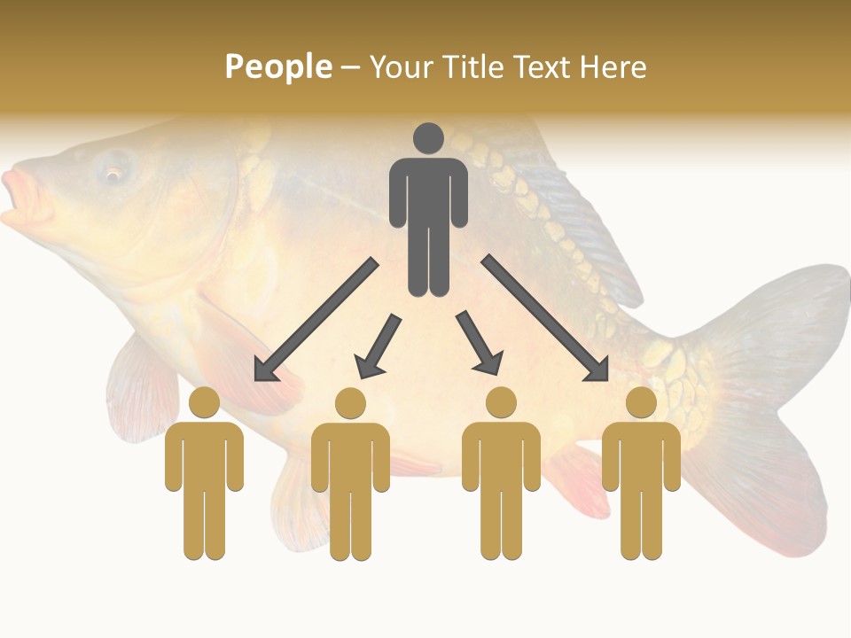 Carp Omega  Marine Life PowerPoint Template