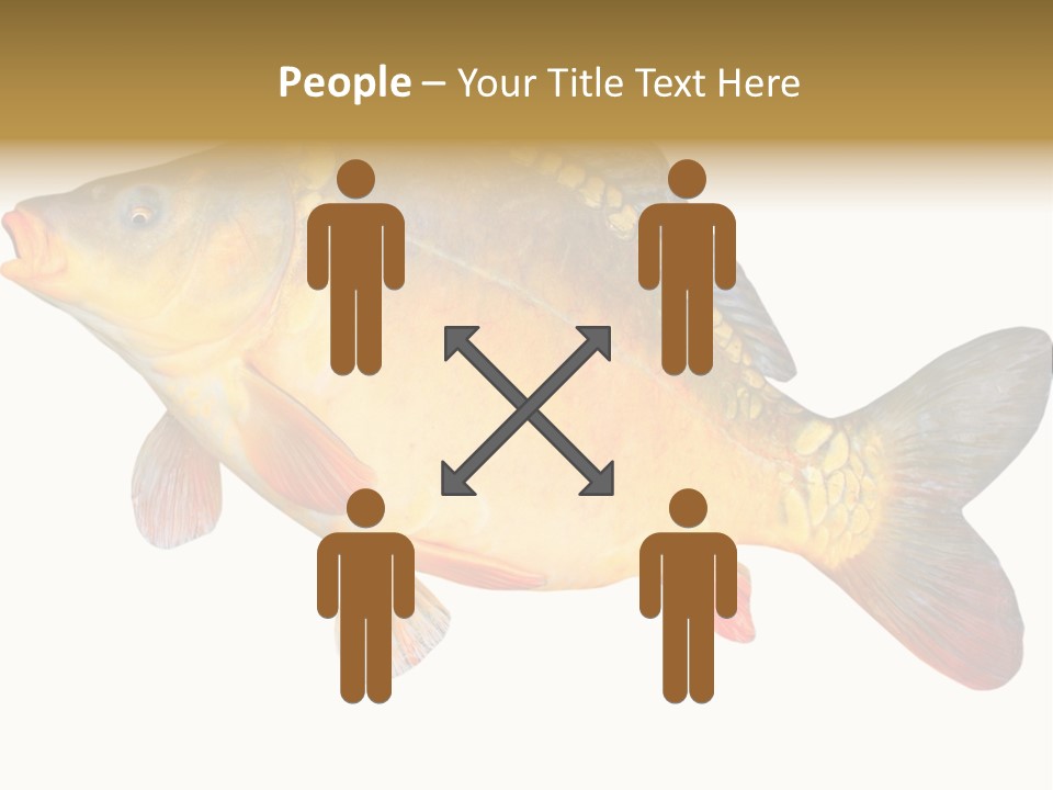 Carp Omega  Marine Life PowerPoint Template