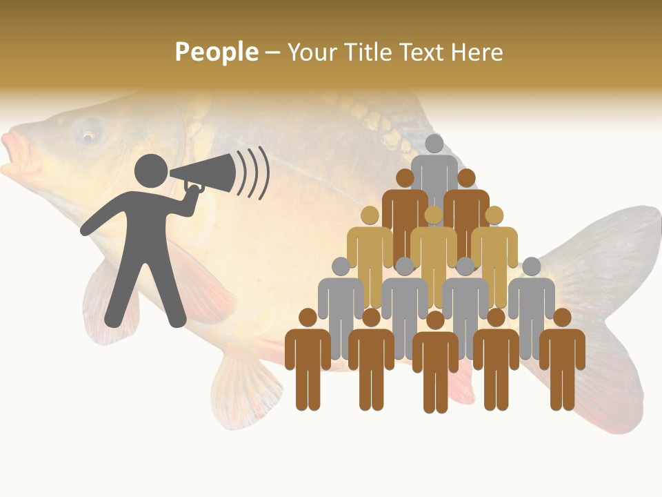 Carp Omega  Marine Life PowerPoint Template