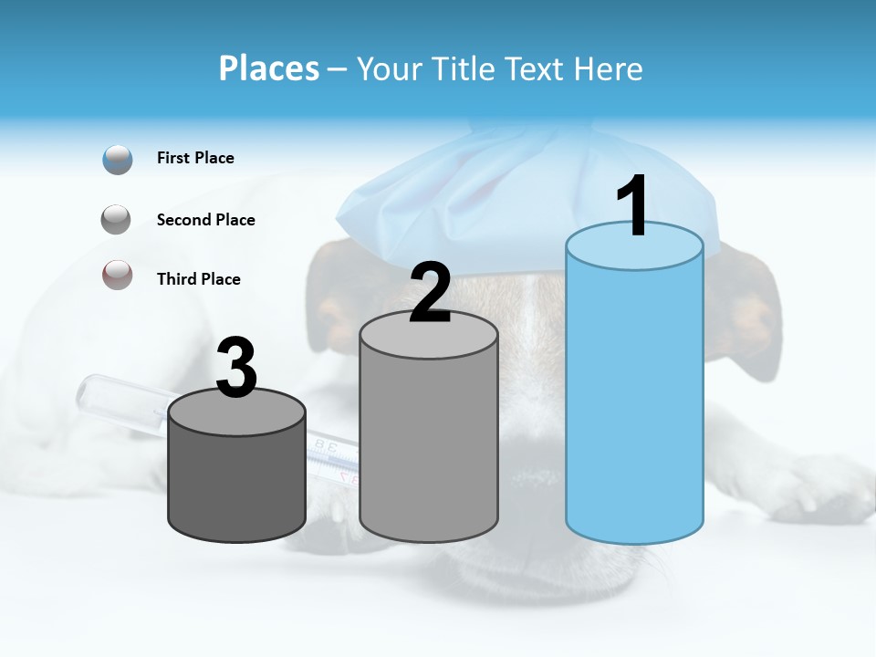 Fur Humorously Thermometer PowerPoint Template