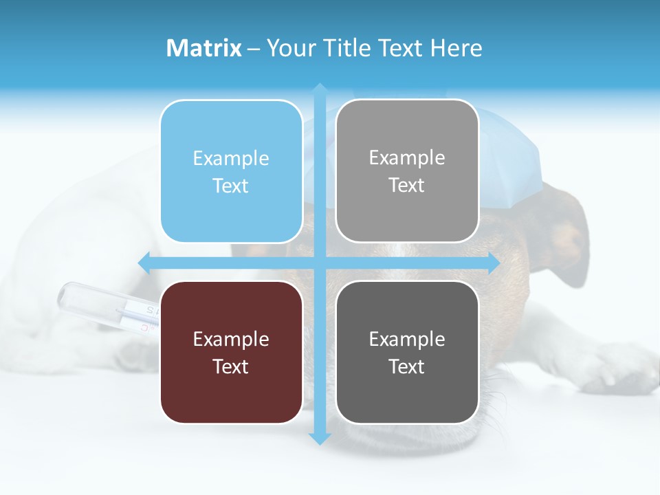 Fur Humorously Thermometer PowerPoint Template