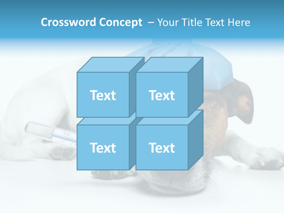 Fur Humorously Thermometer PowerPoint Template