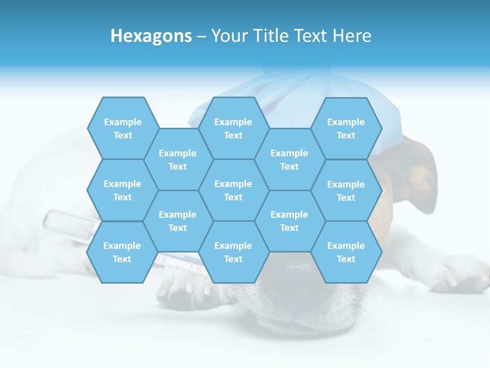 Fur Humorously Thermometer PowerPoint Template