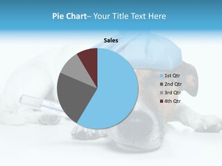 Fur Humorously Thermometer PowerPoint Template