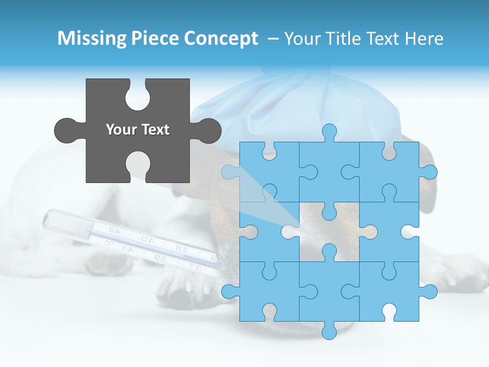 Fur Humorously Thermometer PowerPoint Template