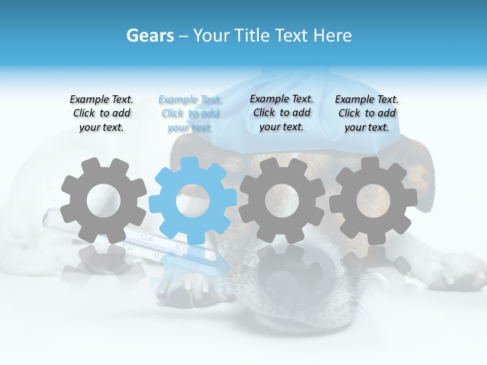 Fur Humorously Thermometer PowerPoint Template