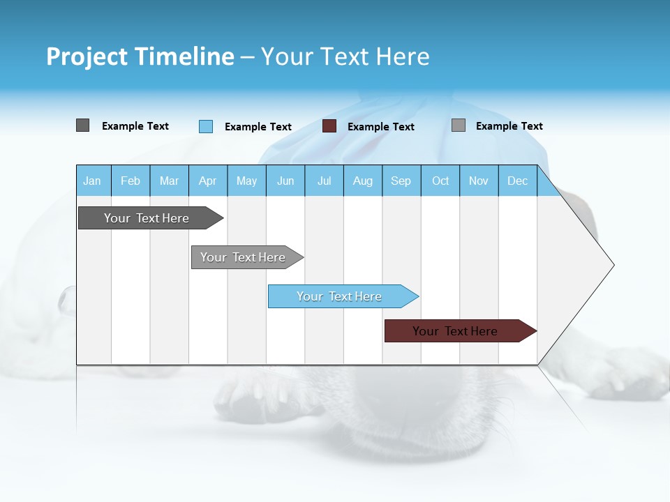 Fur Humorously Thermometer PowerPoint Template