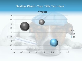 Fur Humorously Thermometer PowerPoint Template