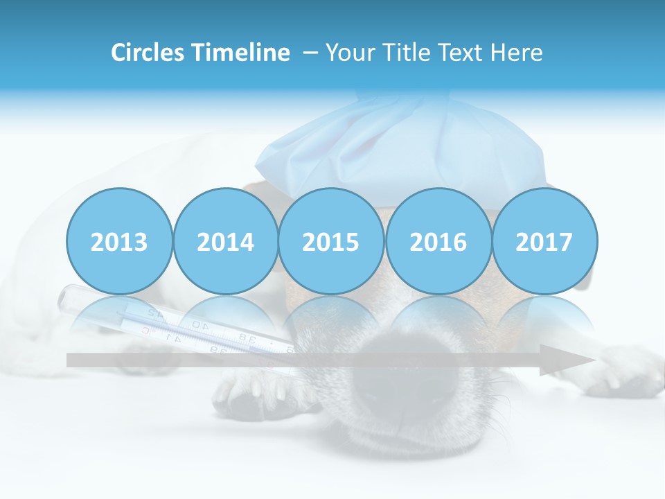 Fur Humorously Thermometer PowerPoint Template