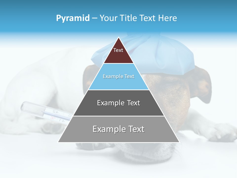 Fur Humorously Thermometer PowerPoint Template