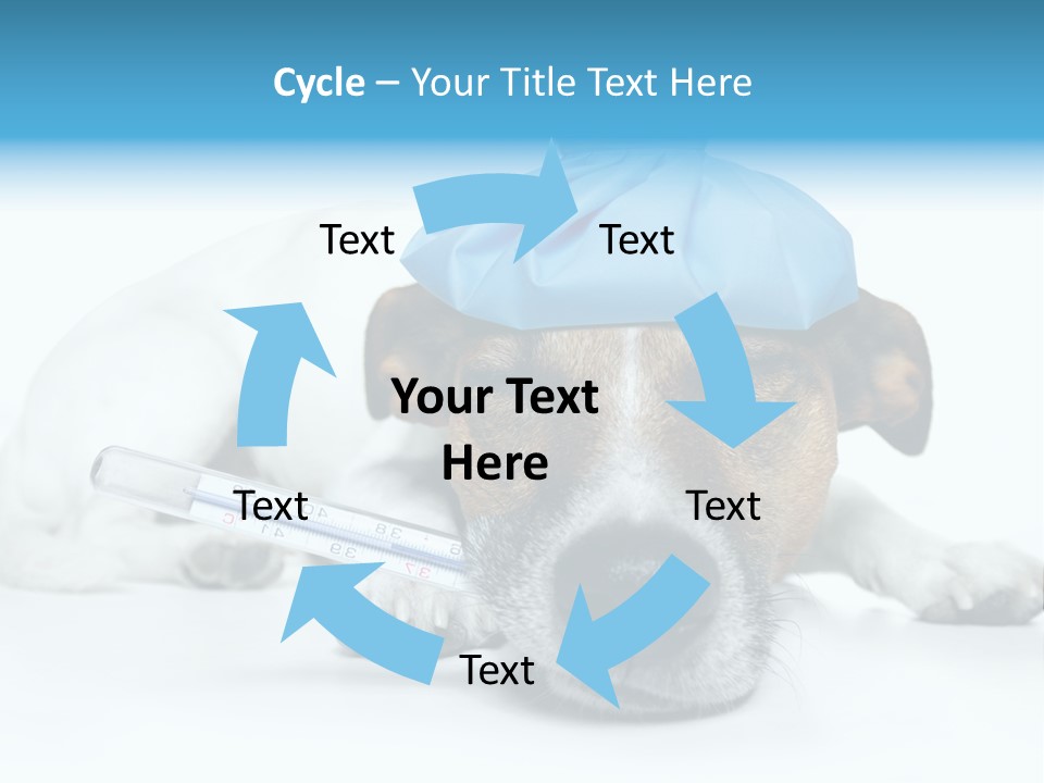 Fur Humorously Thermometer PowerPoint Template