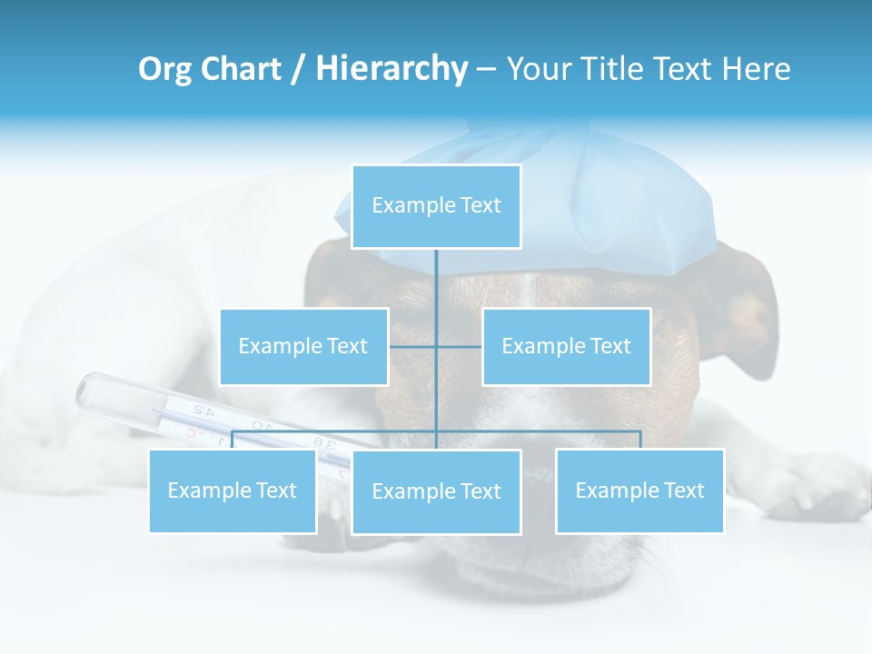 Fur Humorously Thermometer PowerPoint Template