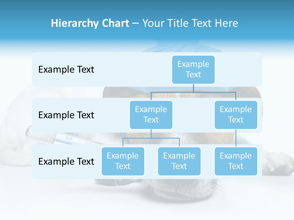 Fur Humorously Thermometer PowerPoint Template