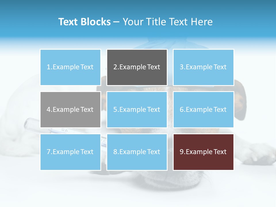 Fur Humorously Thermometer PowerPoint Template