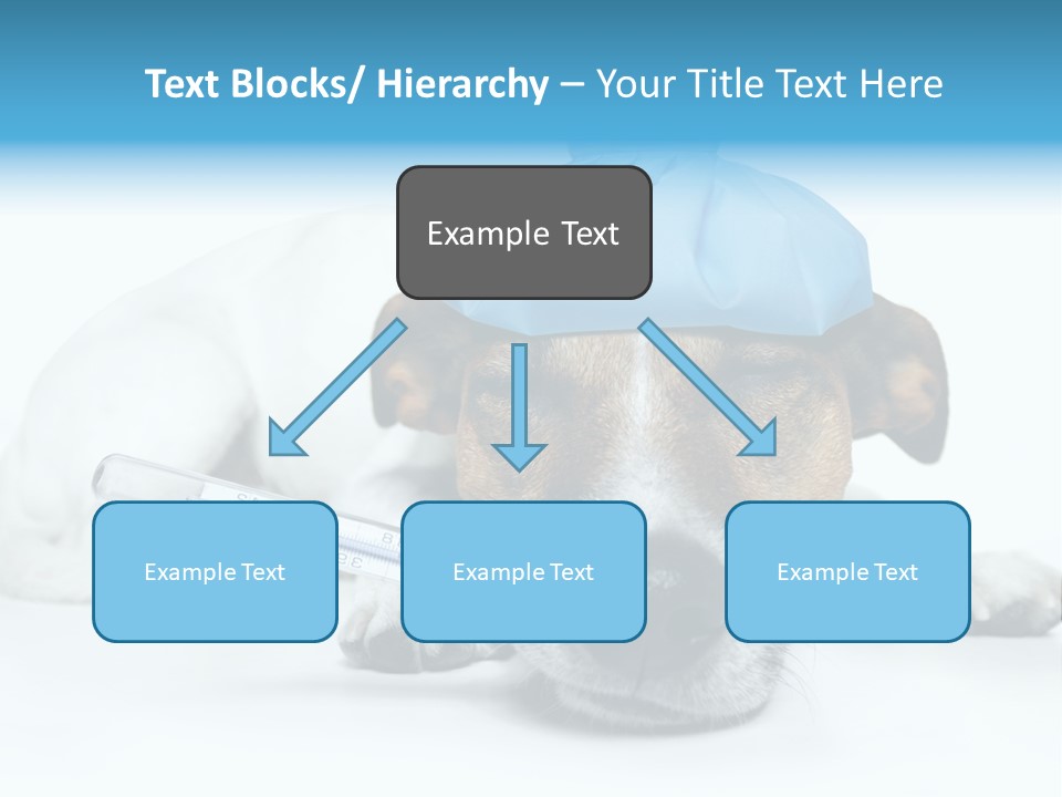 Fur Humorously Thermometer PowerPoint Template