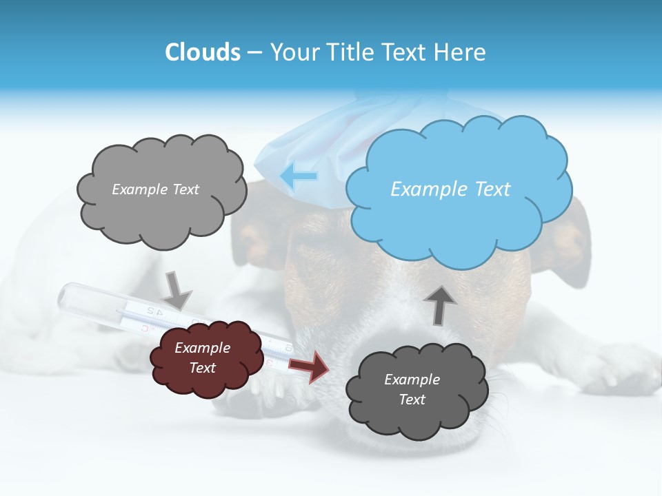 Fur Humorously Thermometer PowerPoint Template