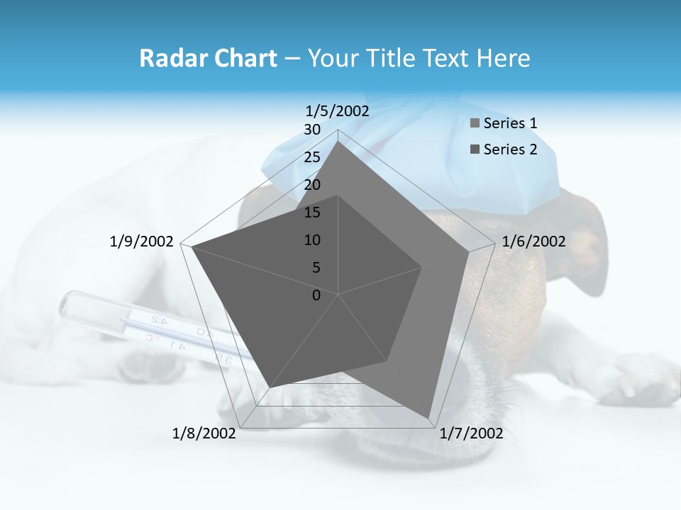 Fur Humorously Thermometer PowerPoint Template