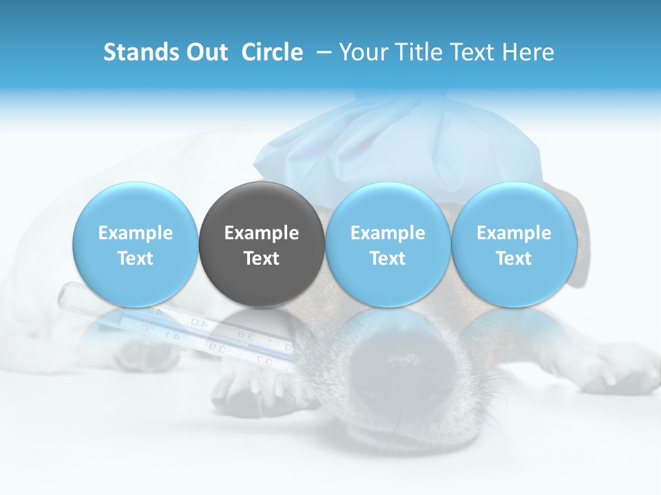 Fur Humorously Thermometer PowerPoint Template