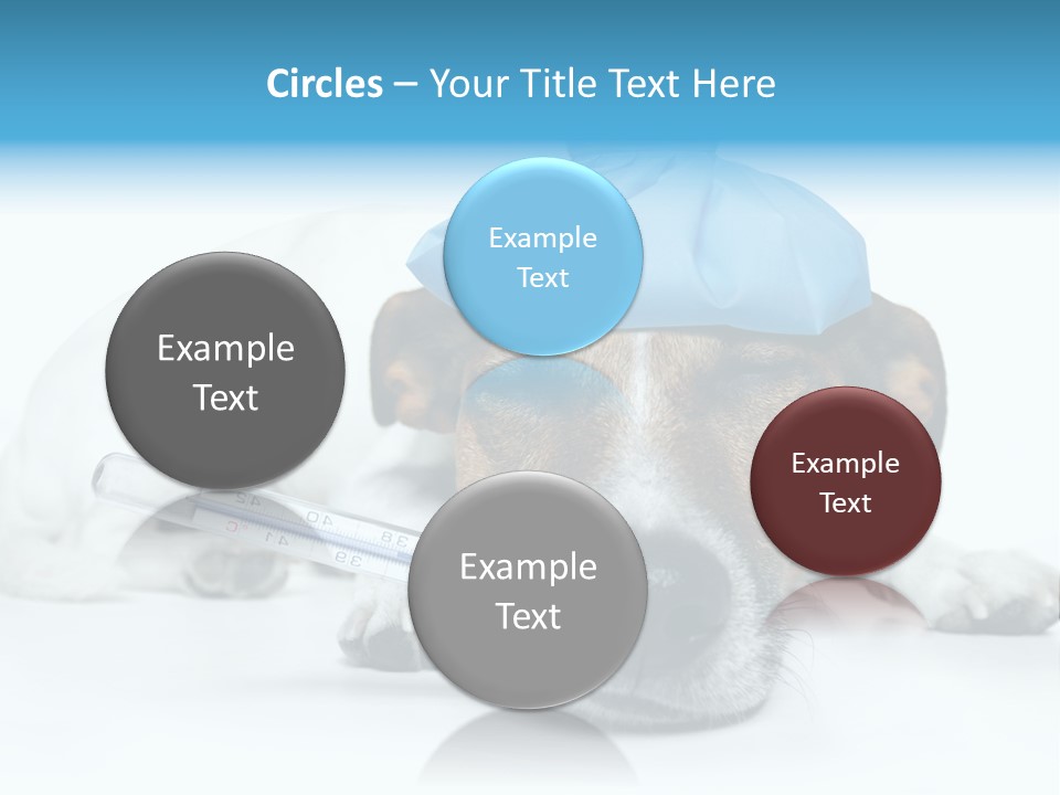 Fur Humorously Thermometer PowerPoint Template
