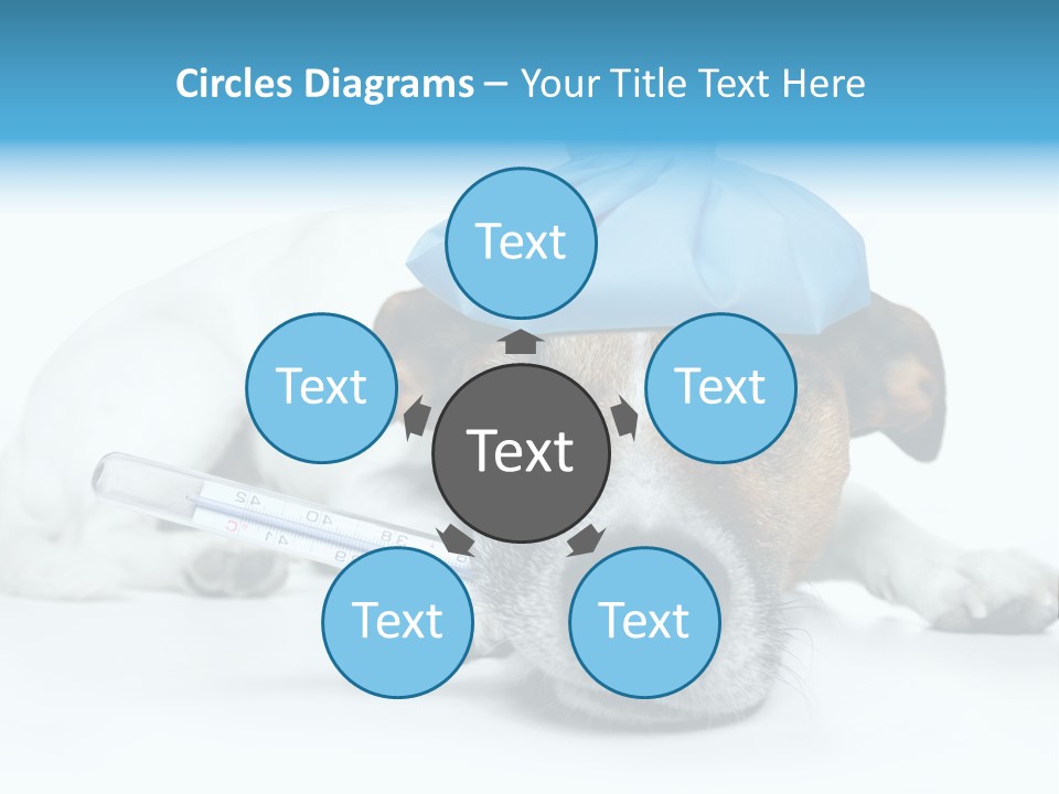 Fur Humorously Thermometer PowerPoint Template