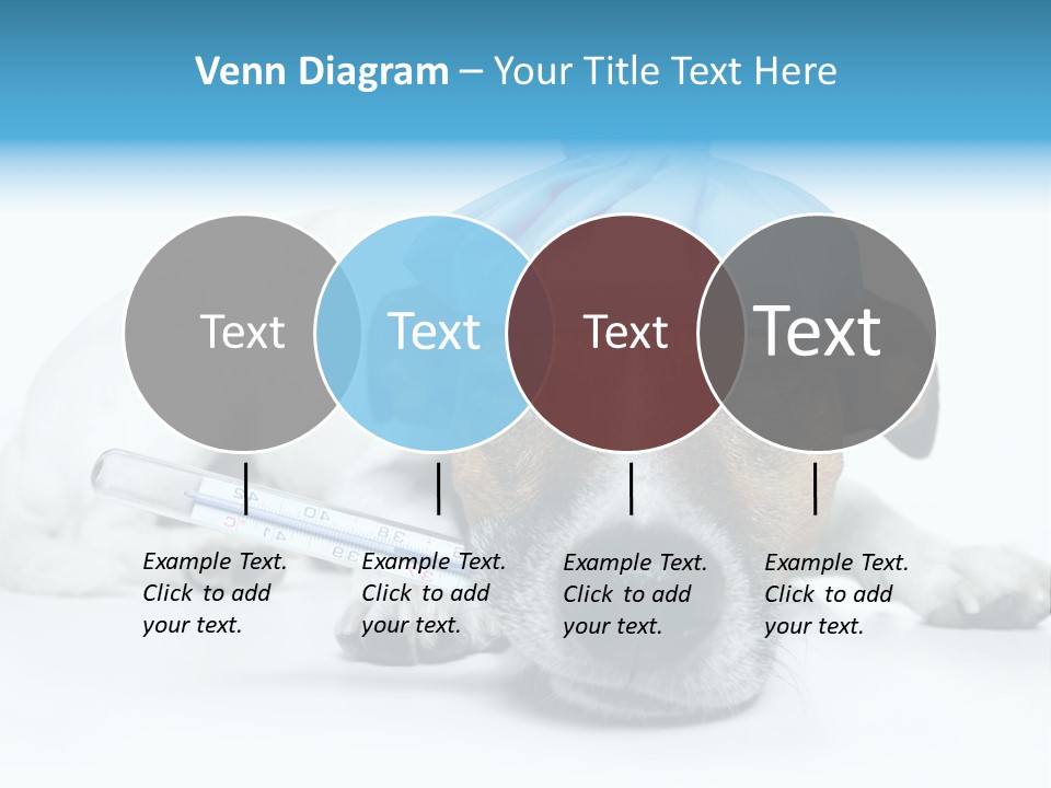 Fur Humorously Thermometer PowerPoint Template