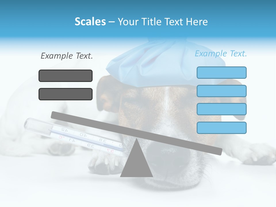 Fur Humorously Thermometer PowerPoint Template