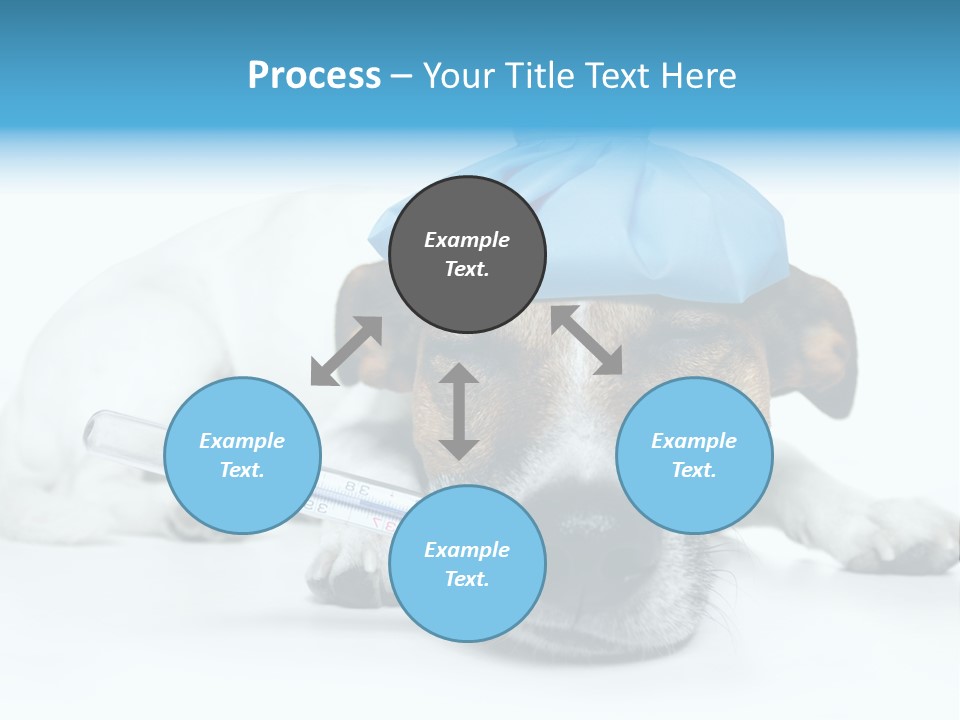 Fur Humorously Thermometer PowerPoint Template