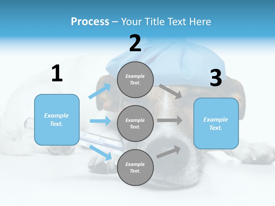 Fur Humorously Thermometer PowerPoint Template