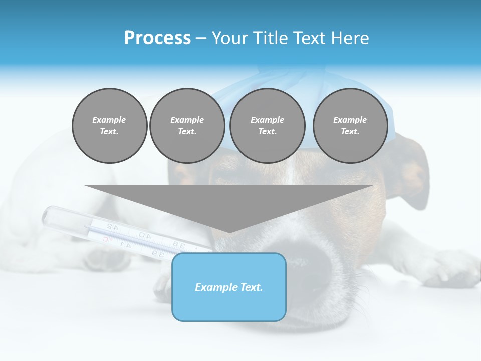 Fur Humorously Thermometer PowerPoint Template
