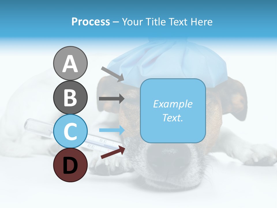 Fur Humorously Thermometer PowerPoint Template