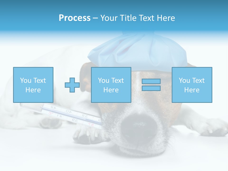Fur Humorously Thermometer PowerPoint Template