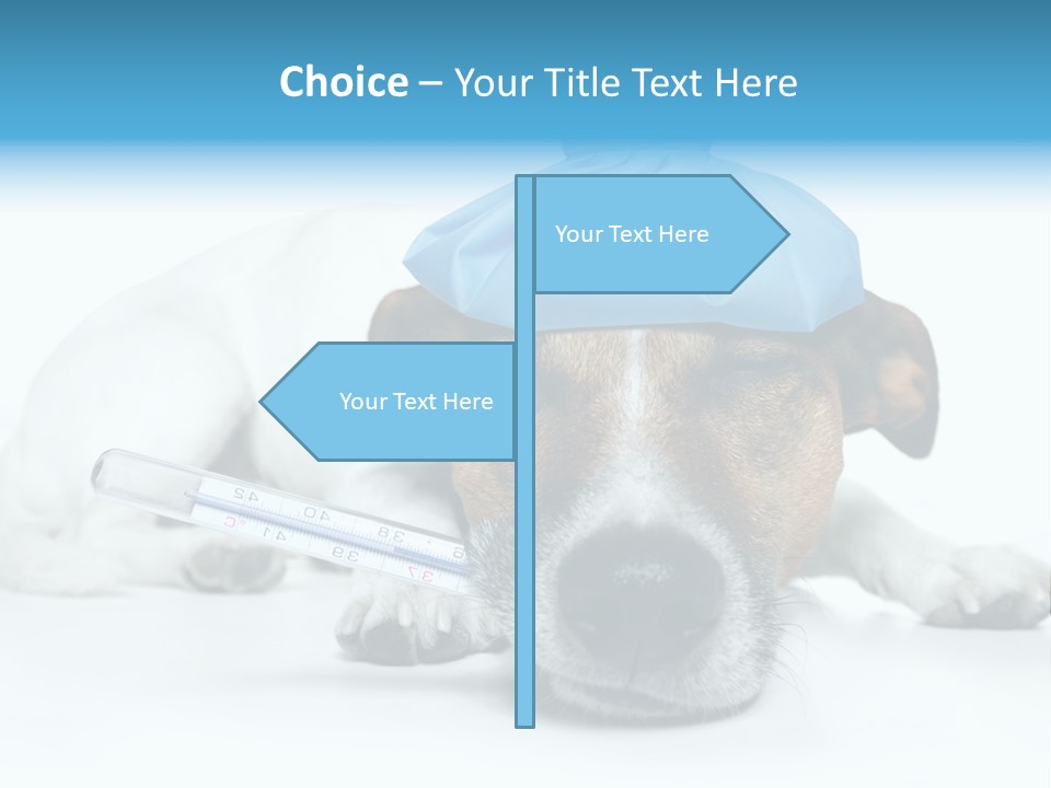 Fur Humorously Thermometer PowerPoint Template
