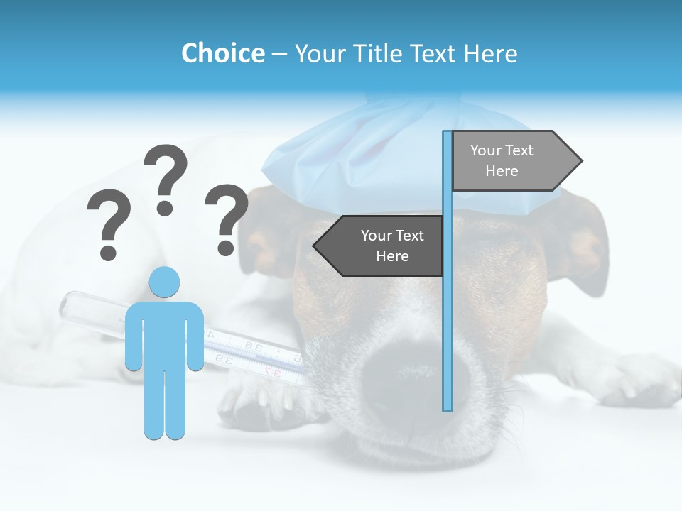 Fur Humorously Thermometer PowerPoint Template