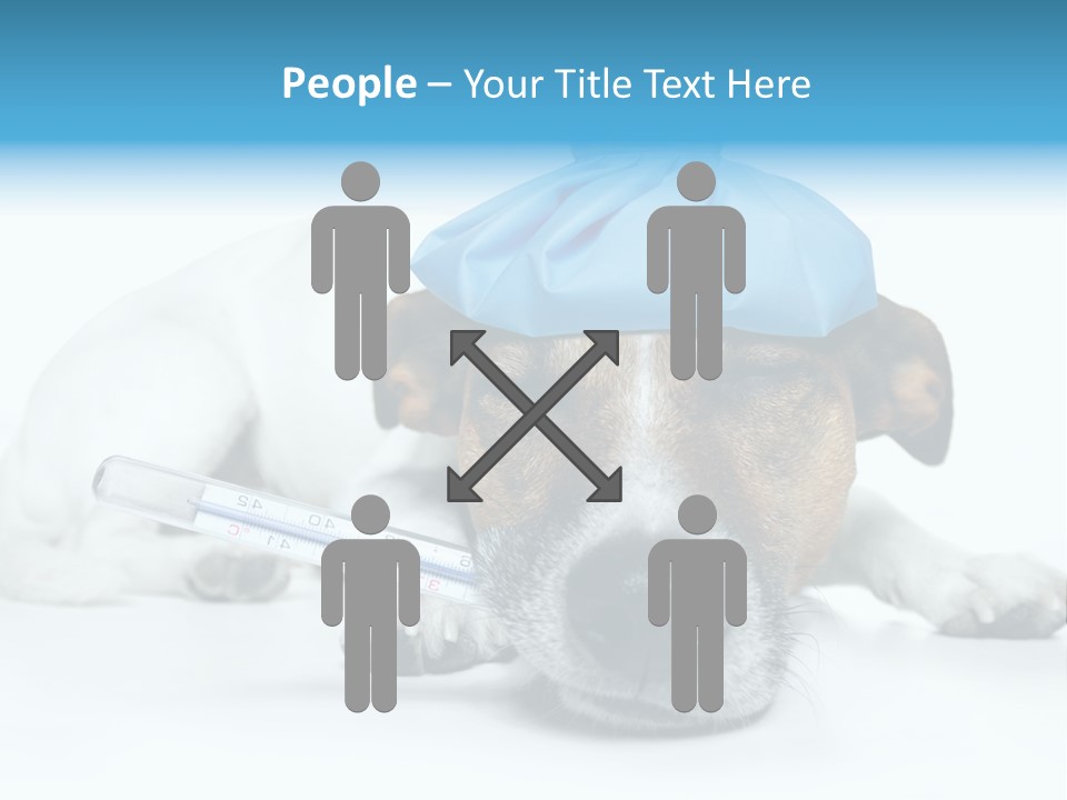 Fur Humorously Thermometer PowerPoint Template