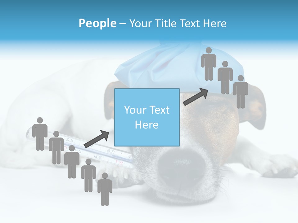 Fur Humorously Thermometer PowerPoint Template