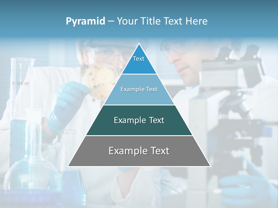 Bacterium Sample Working PowerPoint Template